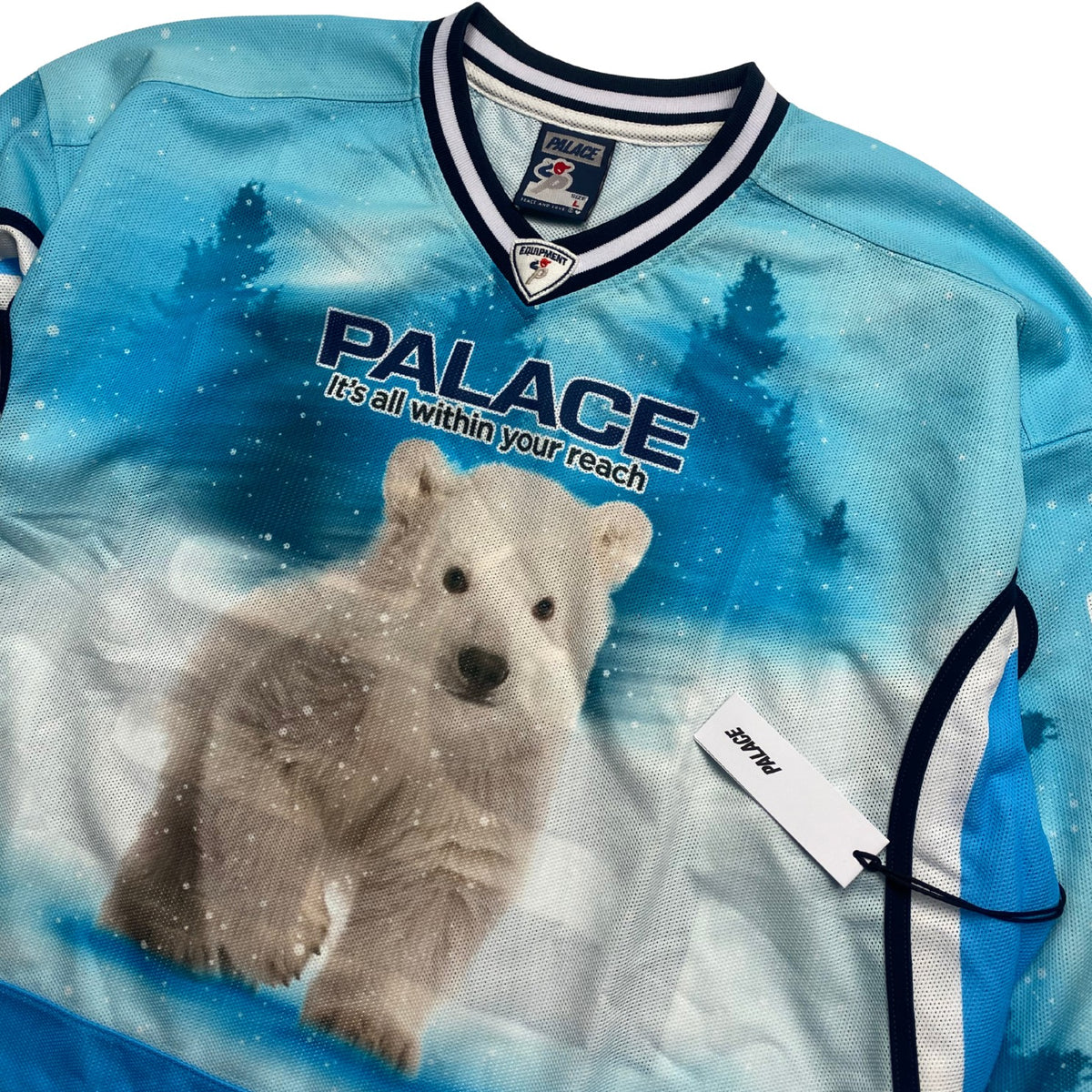 PALACE BRIGHTER ALTERNATIVE HOCKEY JERSEY - L | Thrifty Towel
