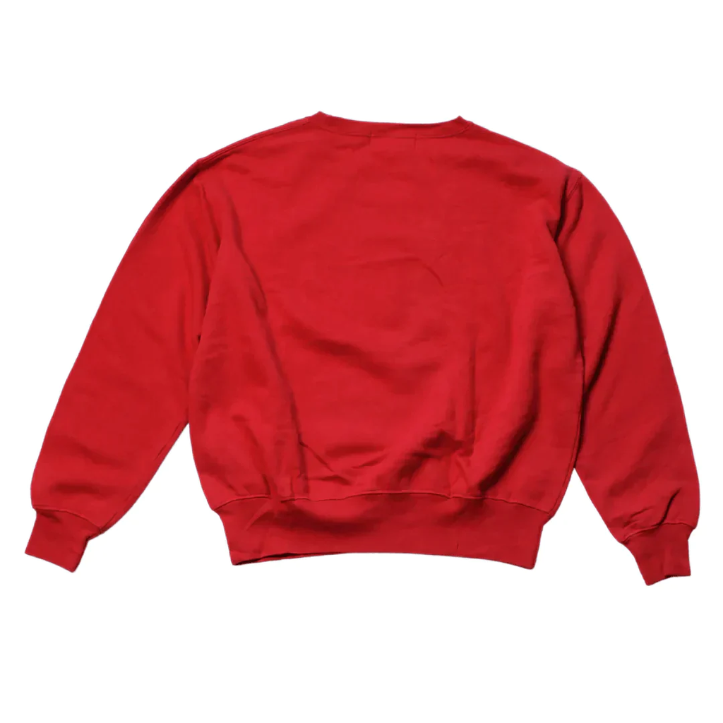 POLO SPORT FLAG SWEATER  (S)